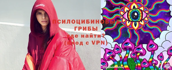 не бодяженный Алексин