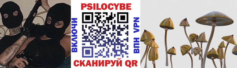 shop наркотические препараты  Азнакаево  Галлюциногенные грибы Psilocybe 
